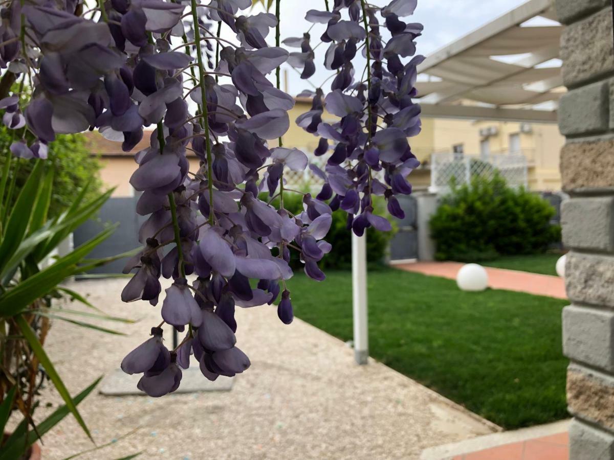 City Garden Guest House Ольбия Экстерьер фото